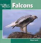 Falcons