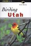 Birding Utah