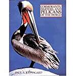 Cormorants, Darters, and Pelicans of the World