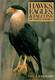 Hawks, Eagles, and Falcons of North America