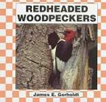 Red-Headed Woodpeckers