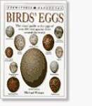 Birds' Eggs