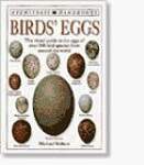 Birds' Eggs
