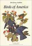 Birds of America