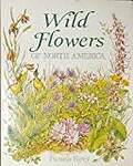 Wild Flowers of North America