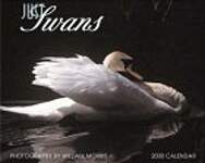 Just Swans 2000 Calendar