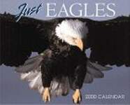 Just Eagles 2000 Calendar