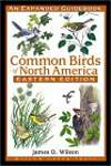 Common Birds of North America: An Expanded Guidebook, Eastern Edition