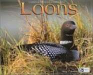 Loons 2004 Calendar