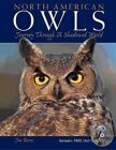 North American Owls: Journey Through a Shadowed World