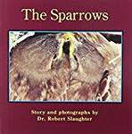 The Sparrows