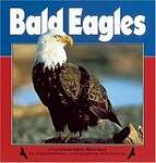 Bald Eagles