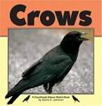Crows