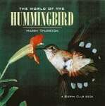 World of the Hummingbird