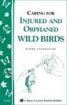 Helping Orphaned or Injured Wild Birds