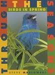 Birds in Spring