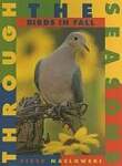 Birds in Fall