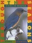Birds in Winter