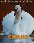 Swans
