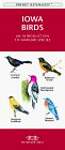 Iowa Birds: An Introduction to Familiar Species