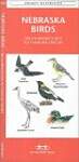 Nebraska Birds: An Introduction to Familiar Species