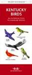 Kentucky Birds: An Introduction to Familiar Species