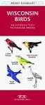 Wisconsin Birds: An Introduction to Familiar Species
