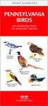 Pennsylvania Birds: A Folding Pocket Guide to Familiar Species