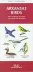 Arkansas Birds: An Introduction to Familiar Species