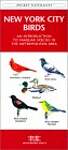 New York City Birds: A Folding Pocket Guide to Familiar Species in the Metropolitan Area