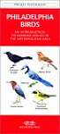 Philadelphia Birds: A Folding Pocket Guide to Familiar Species in the Metropolitan Area