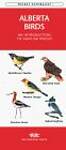 Alberta Birds