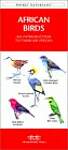 African Birds: A Folding Pocket Guide to Familiar Species