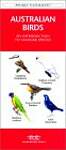 Australia Birds: A Folding Pocket Guide to Familiar Species