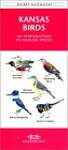 Kansas Birds: A Folding Pocket Guide to Familiar Species