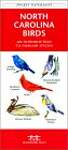 North Carolina Birds: A Folding Pocket Guide to Familiar Species