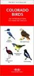 Colorado Birds: A Folding Pocket Guide to Familiar Species