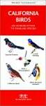 California Birds: A Folding Pocket Guide to Familiar Species