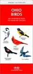 Ohio Birds: A Folding Pocket Guide to Familiar Species