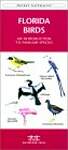 Florida Birds: A Folding Pocket Guide to Familiar Species
