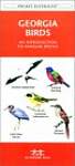 Georgia Birds: A Folding Pocket Guide to Familiar Species