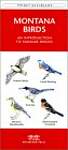 Montana Birds: A Folding Pocket Guide to Familiar Species