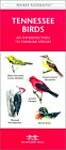 Tennessee Birds: A Folding Pocket Guide to Familiar Species