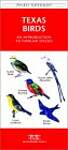 Texas Birds: A Folding Pocket Guide to Familiar Species