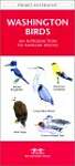 Washington Birds: A Folding Pocket Guide to Familiar Species