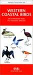 Western Coastal Birds: A Folding Pocket Guide to Familiar Species