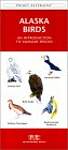 Alaska Birds: A Folding Pocket Guide to Familiar Species
