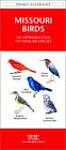 Missouri Birds: A Folding Pocket Guide to Familiar Species