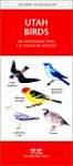 Utah Birds: A Folding Pocket Guide to Familiar Species