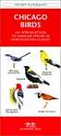 Chicago Birds: A Folding Pocket Guide to Familiar Species